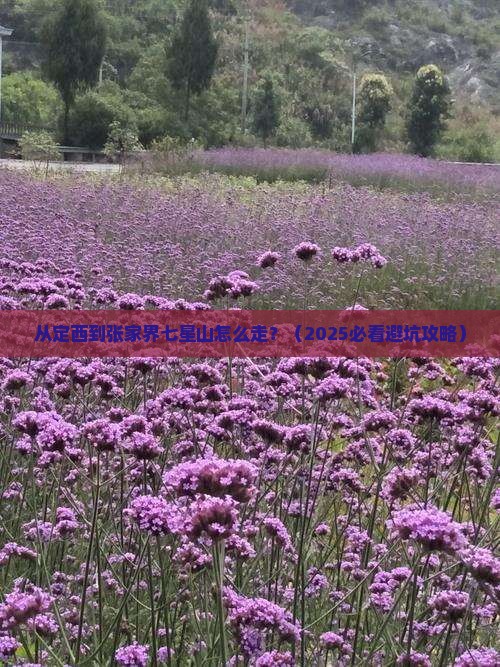 定西去张家界七星山景点