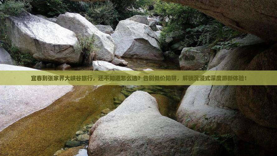 宜春到张家界大峡谷旅行社