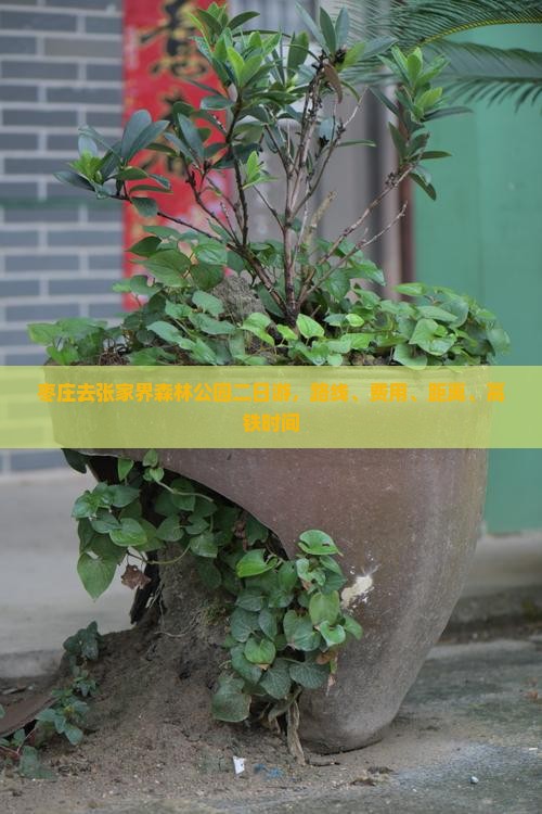 枣庄去张家界森林公园二日游