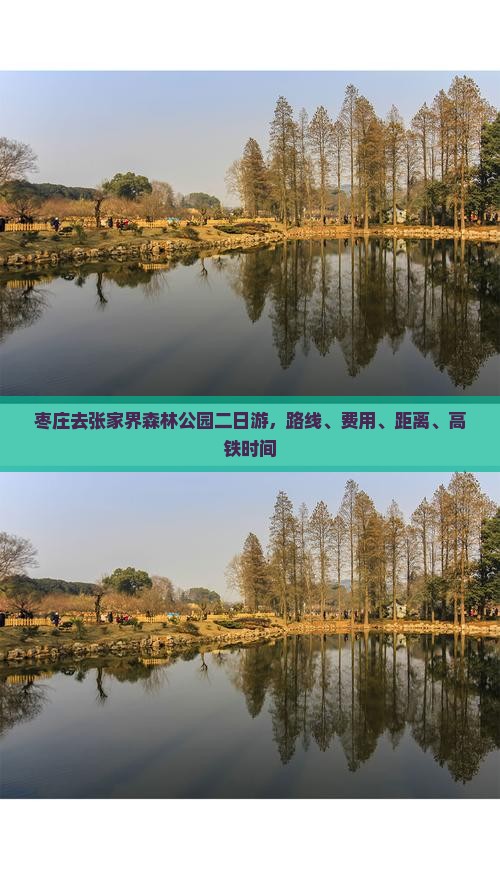 枣庄去张家界森林公园二日游