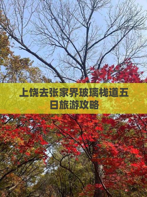 上饶去张家界玻璃栈道五日游