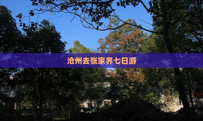 沧州去张家界七日游