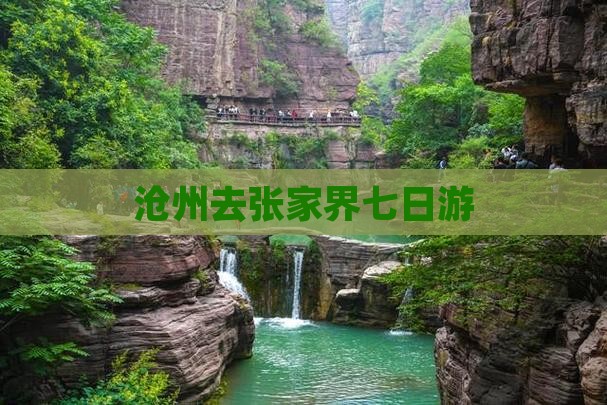 沧州去张家界七日游