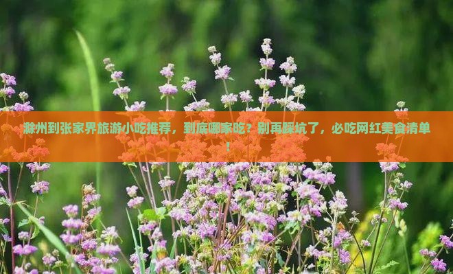 滁州到张家界旅游小吃