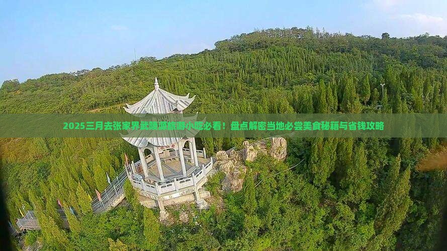 三月去张家界武陵源旅游小吃