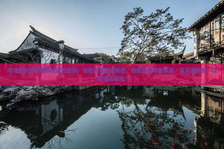 菏泽到张家界玻璃栈道五日游