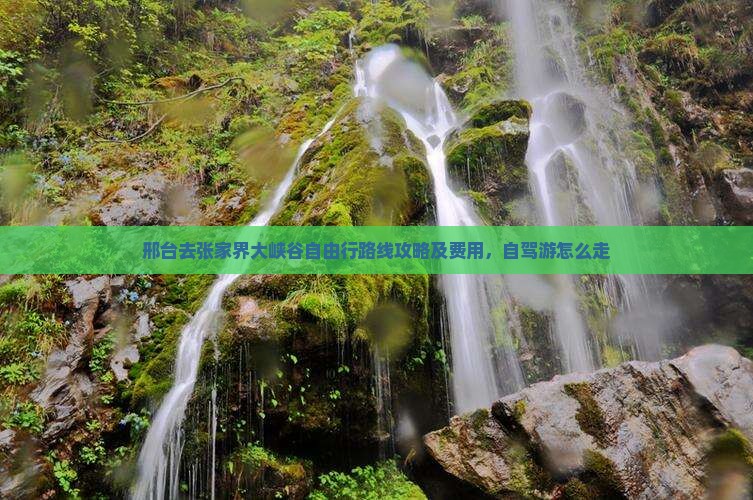 邢台去张家界大峡谷自由行