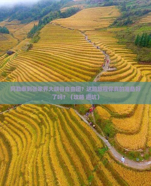 阿勒泰到张家界大峡谷自由团