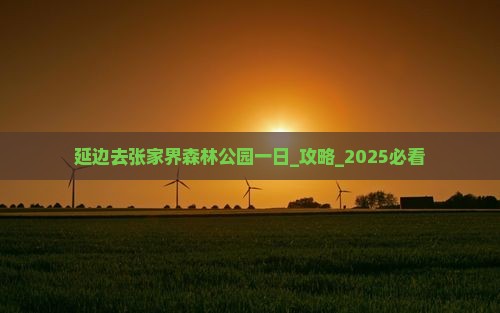 延边去张家界森林公园一日
