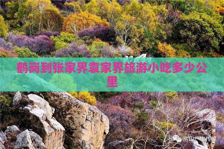 鹤岗到张家界袁家界旅游小吃