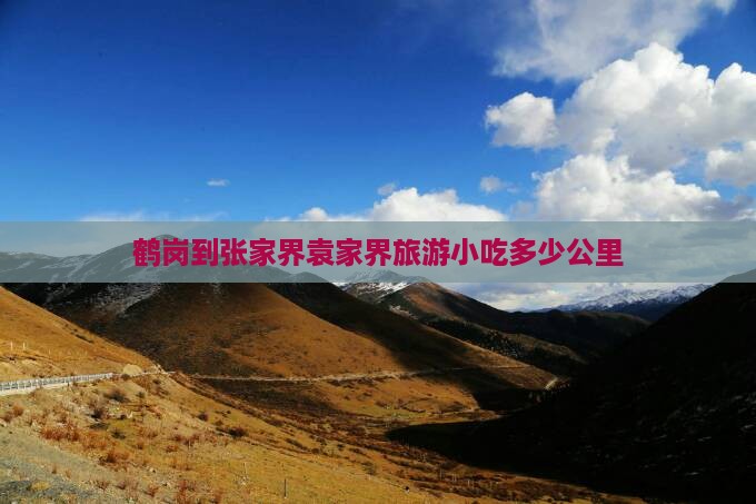 鹤岗到张家界袁家界旅游小吃