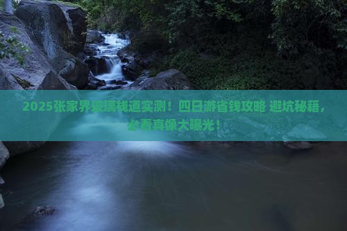 淮南去张家界玻璃栈道四日游