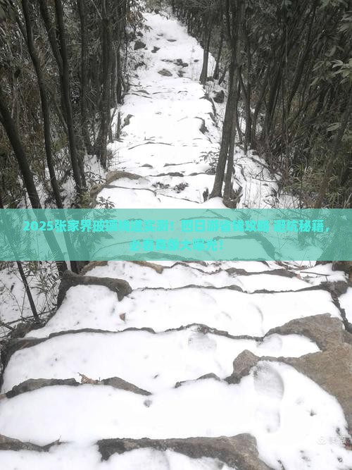 淮南去张家界玻璃栈道四日游