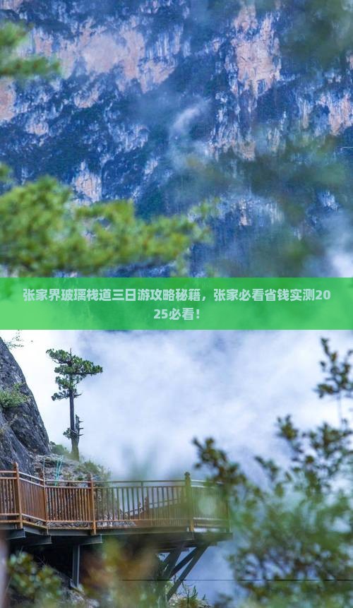 二月去张家界玻璃栈道三日游