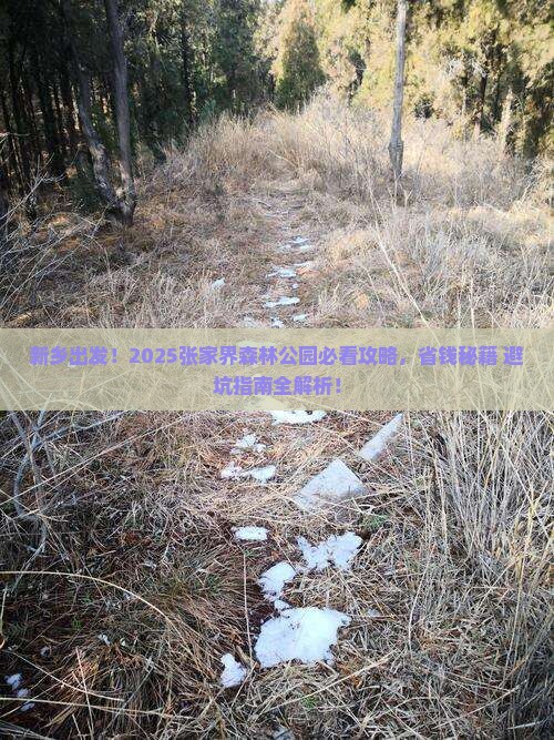 新乡去张家界森林公园必去地 新乡去张家界森林公园必去地