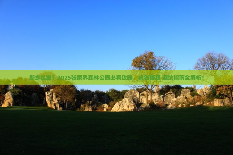 新乡去张家界森林公园必去地 新乡去张家界森林公园必去地