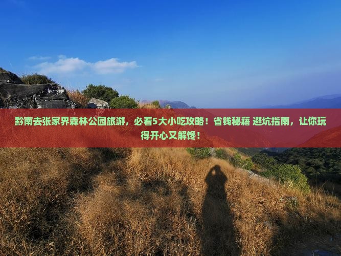 黔南到张家界森林公园旅游小吃
