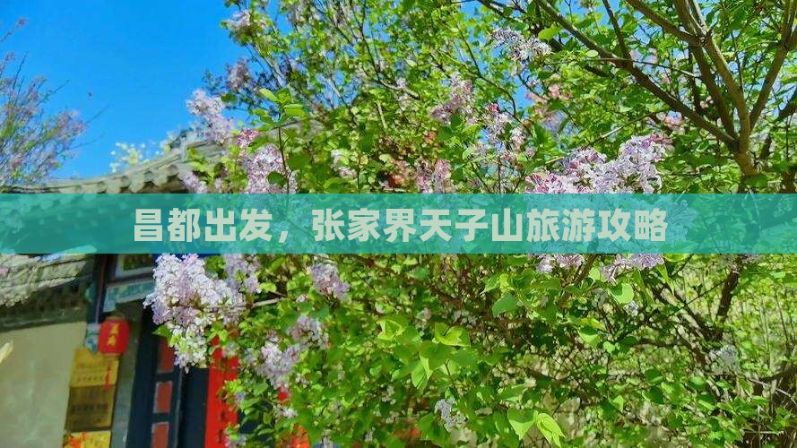 昌都到张家界天子山旅游