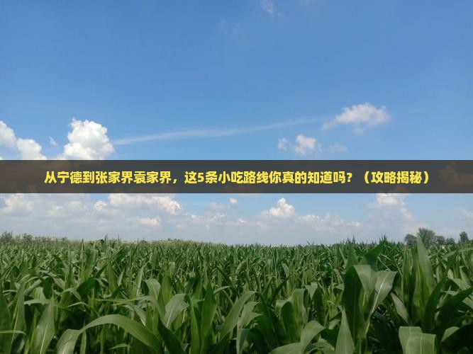 宁德到张家界袁家界旅游小吃