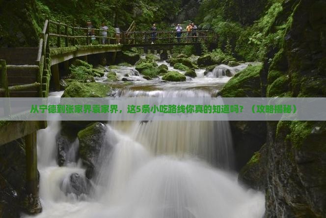 宁德到张家界袁家界旅游小吃