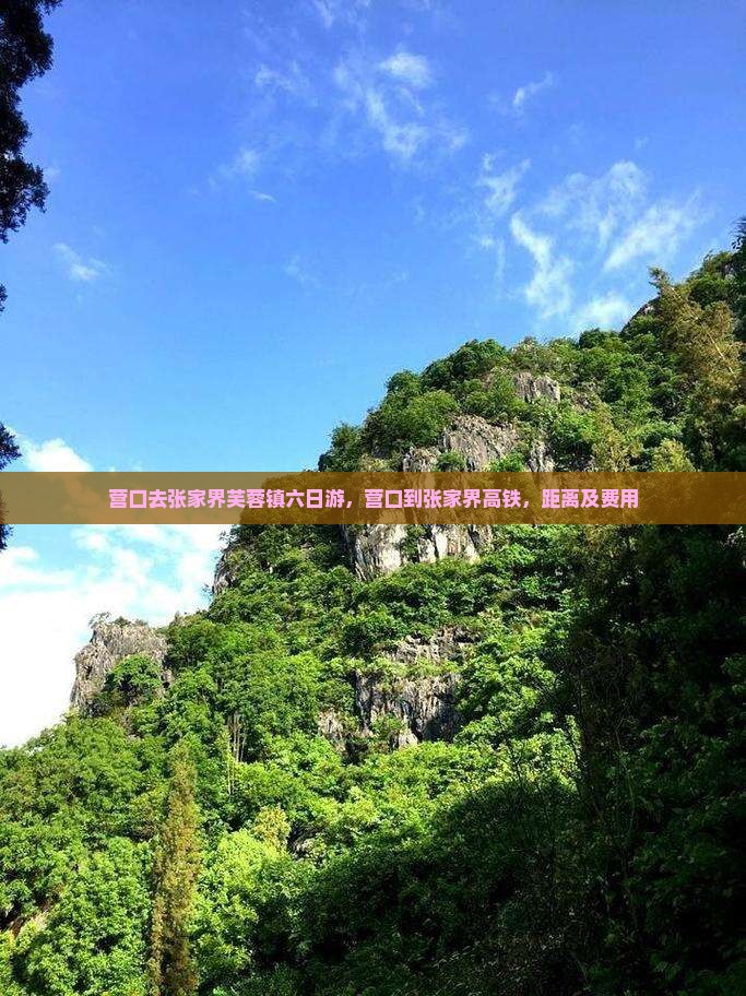 营口去张家界芙蓉镇六日游