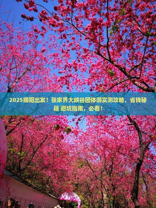 揭阳到张家界大峡谷团体旅游