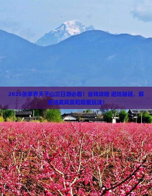 五月到张家界天子山三日游
