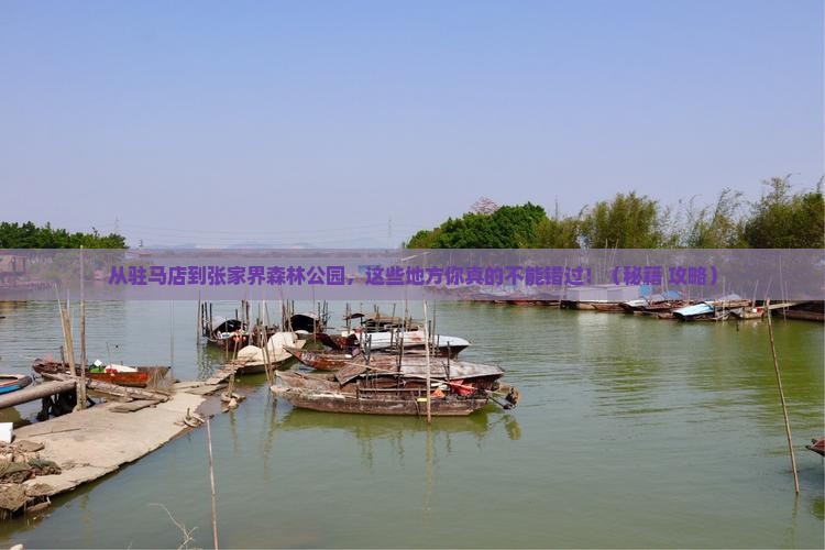 驻马店到张家界森林公园必去地
