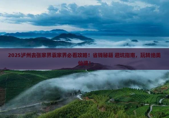 泸州去张家界袁家界攻略