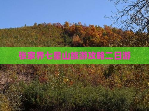 清明节去张家界七星山二日游