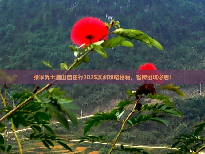 张家界去张家界七星山自由行