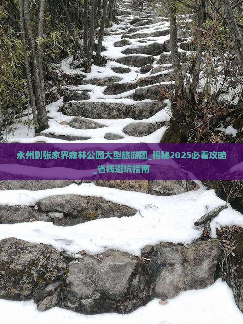 永州到张家界森林公园大型旅游团