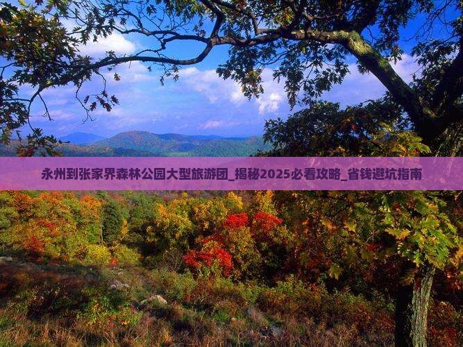 永州到张家界森林公园大型旅游团