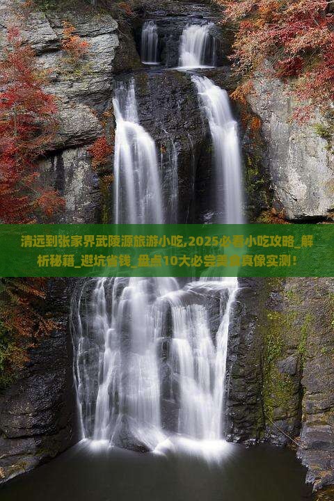 清远到张家界武陵源旅游小吃