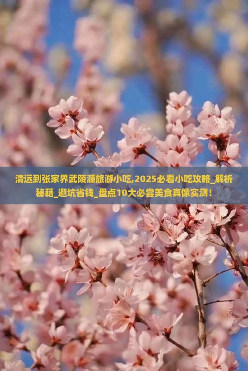 清远到张家界武陵源旅游小吃