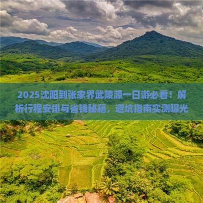 沈阳到张家界武陵源一日
