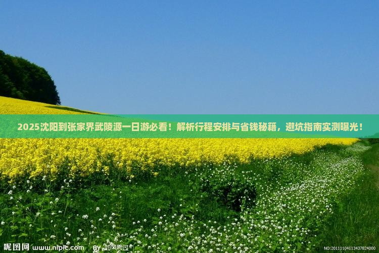 沈阳到张家界武陵源一日