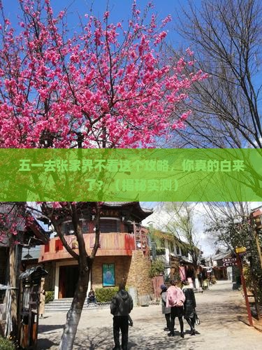 劳动节去张家界必去地