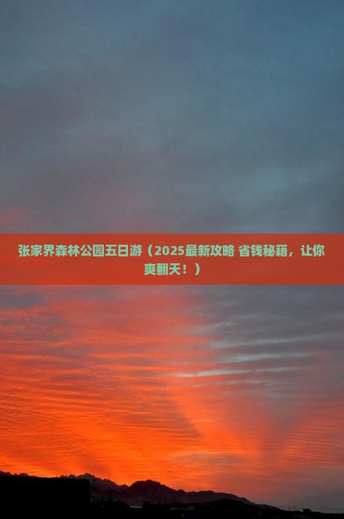 山南去张家界森林公园五日游