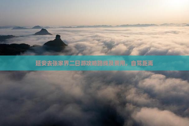 延安去张家界二日游