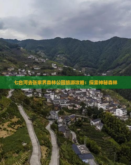 七台河去张家界森林公园个人游