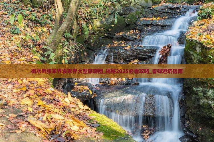 衡水到张家界袁家界大型旅游团