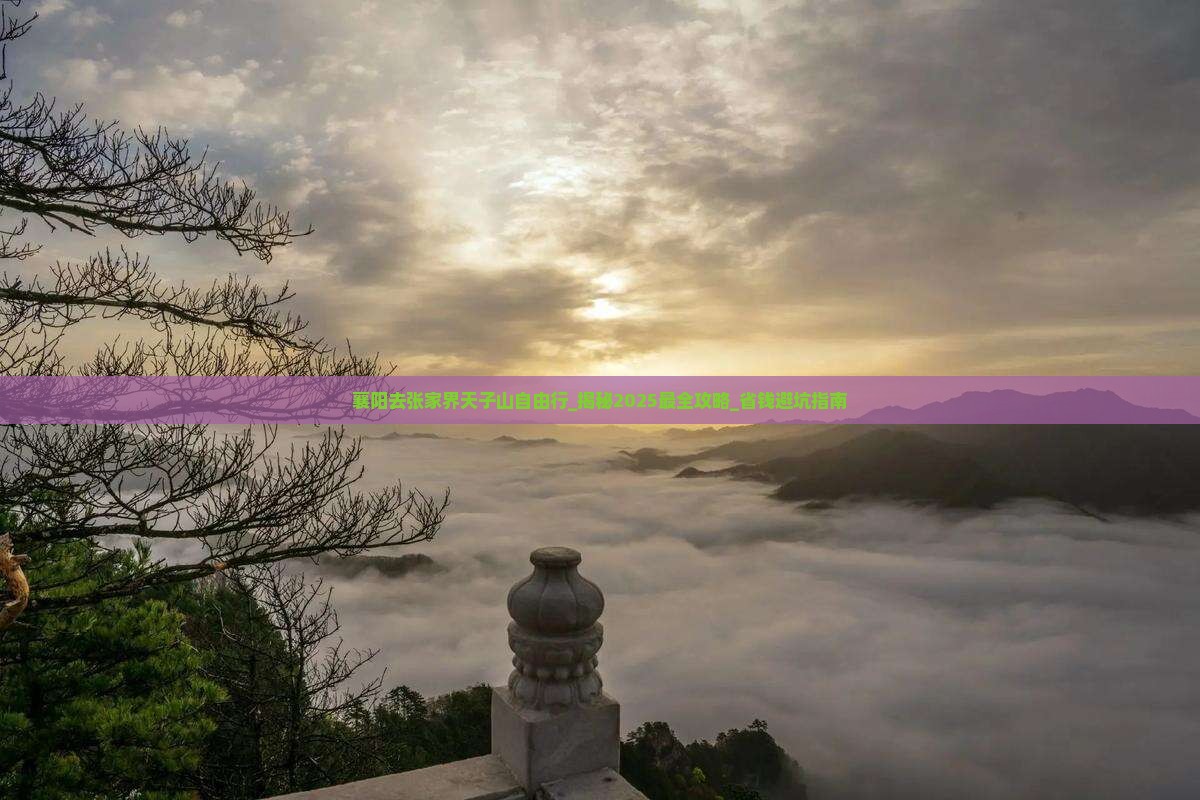 襄阳去张家界天子山自由行