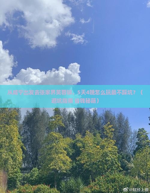 咸宁去张家界芙蓉镇旅行社