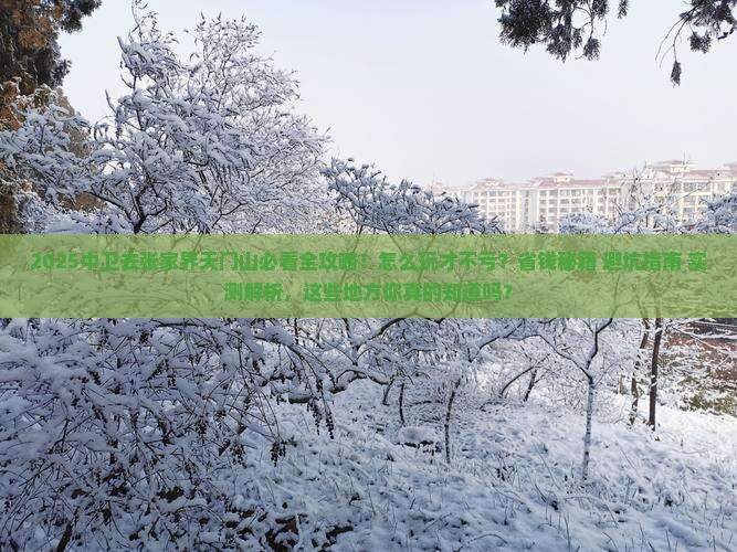 中卫去张家界天门山哪里玩
