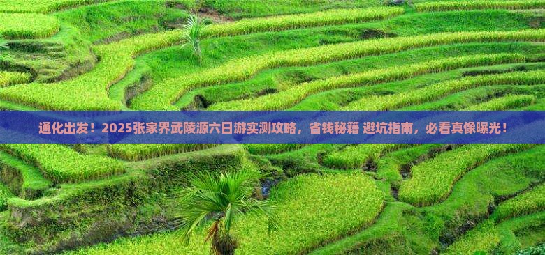 通化去张家界武陵源六日游