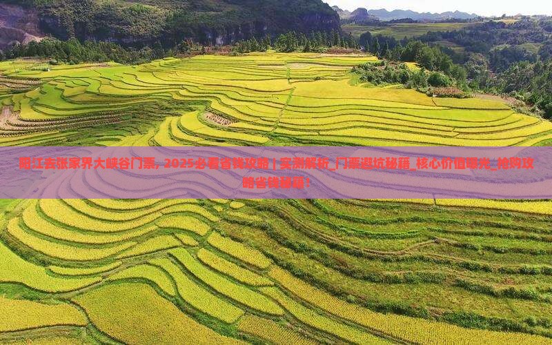 阳江去张家界大峡谷门票