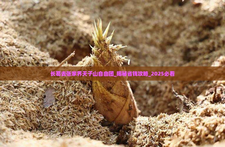 长葛去张家界天子山自由团