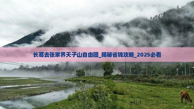 长葛去张家界天子山自由团