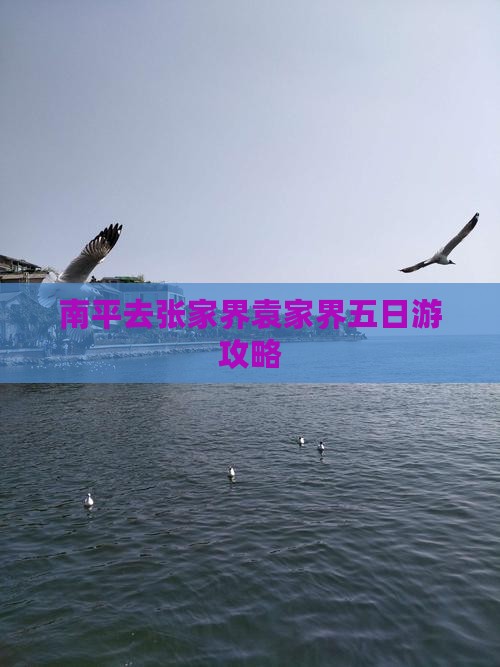 南平去张家界袁家界五日游